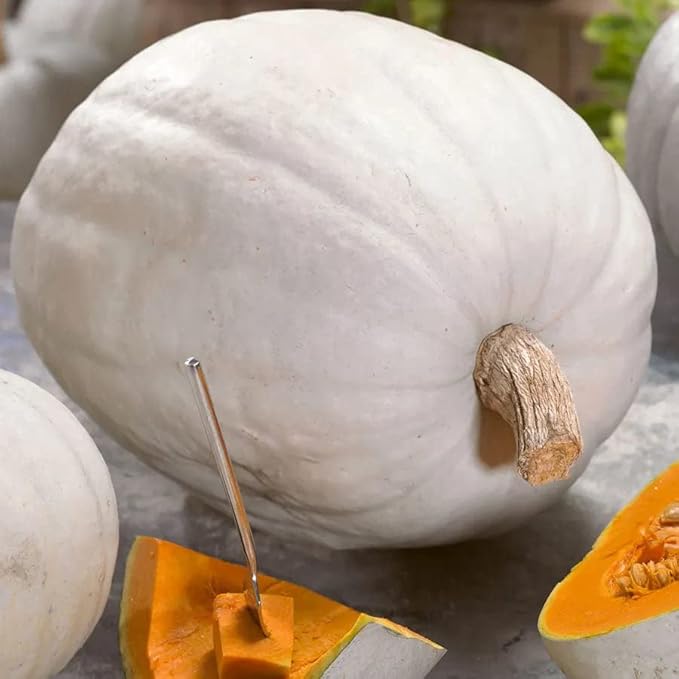 Park Seed Super Moon F1 Pumpkin Seeds – Non-GMO, AAS-Winning White Pumpkins for Carving, Decorating & Cooking, Powdery Mildew Resistant, 25–50 lb Fruits, Pack of 10
