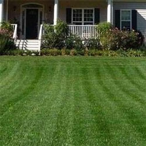 Outsidepride Combat Extreme Northern Zone - 25 Lbs Cold-Hardy, Drought-Resistant Turf Type Tall Fescue & Kentucky Bluegrass Lawn Grass Seed Blend, OptiGrowth Coated for Better Establishment
