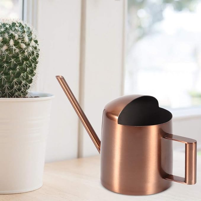 Milltrip Small Watering Can, 300ml Small Stainless Steel Watering Can Plant Flower Long Spout Sprinkling Pot for Home Use