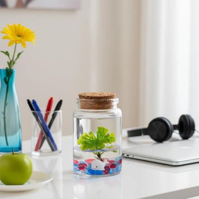 Bloomify Sundew Terrarium - 100% Self Sustaining Drosera spatulata in Maintenance Free Glass Jar with Unique Terra Gel, Fast and Healthy Plant Growth for Kids and Adults