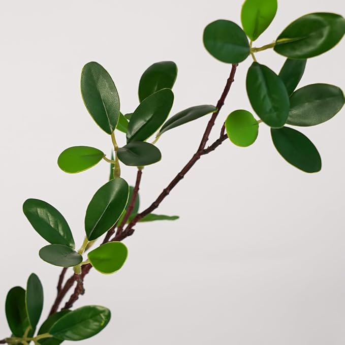 Artificial Plants Faux Greenery Eucalyptus Stems,Faux Branches for Vase Filler,Artificial Ficus Twig Branches Stems for Shop Garden Office Home Décor (6, Stems03)