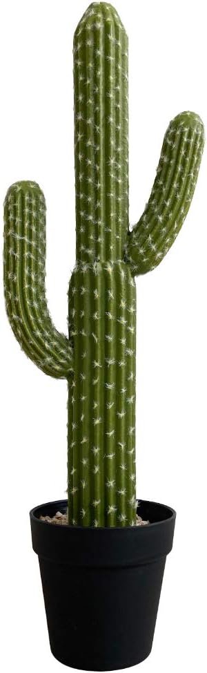 momoplant Artificial Cactus Succulent Plant, 24 Inch Tall Faux Fake Desert Cacti Plant with Black Planter for Home Garden Office Floor Decor