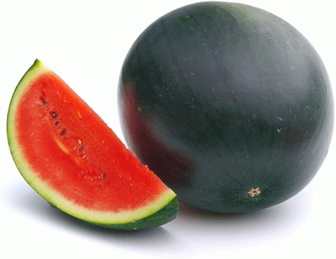 Sugar Baby Watermelon Seeds,50 Count COOL BEANS N SPROUTS Brand. Heirloom. Non-GMO. Home Gardening.