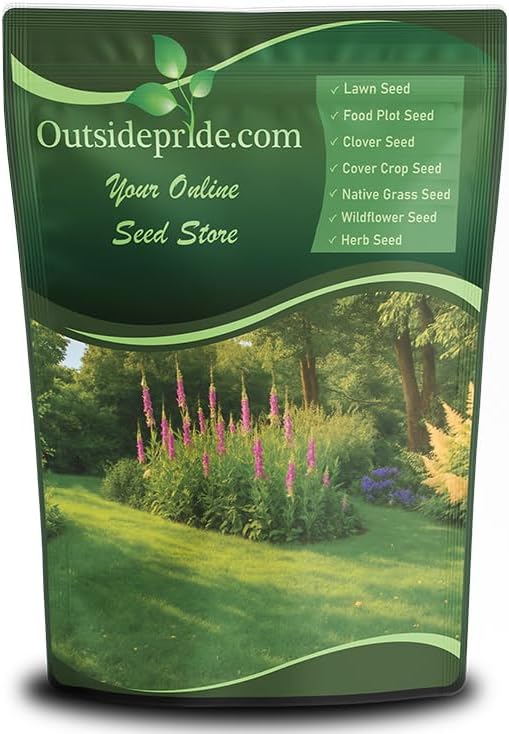 Outsidepride Sheeps Fine Fescue Grass Seed - 10 Lbs. Perennial Heat & Drought Tolerant Dense Green, Traffic-Resistant Turf for Shaded Environments w/OptiGrowth Coating for Seed Enhancement
