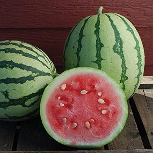 Melon Seeds for Planting (10 Seeds) - Grow Your Own Food (Dixies Best Watermelon)