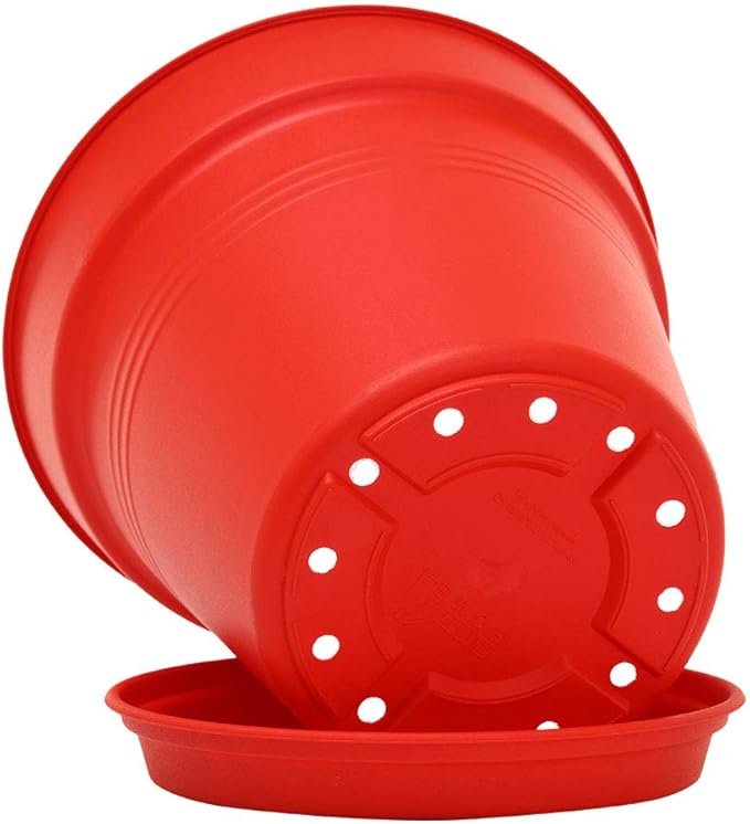 Mintra Home Garden Pots 4pk - Flowers, Herbs, Plants, Indoor, Outdoor, Colorful, Wholesale, Bulk (Red, 11cm Diameter (4.3in))