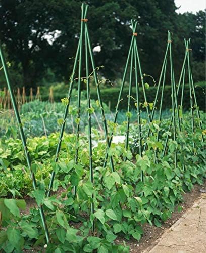 5ft Garden Stakes 20pack, 1/4'' Diameter Plant Stakes, Never Rust for Plant Support Poles, Green(60inch)