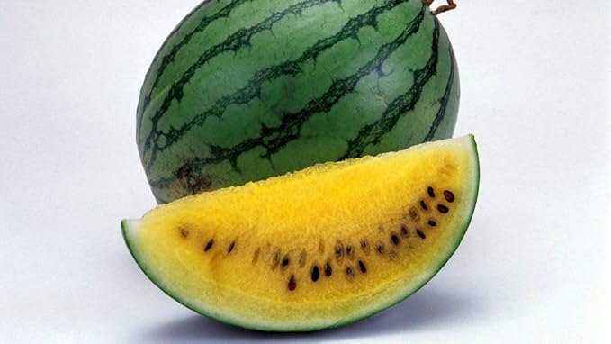 Yellow Watermelon Seeds Rare Hierloom Vegetable for Planting Giant Non GMO 15 Seeds