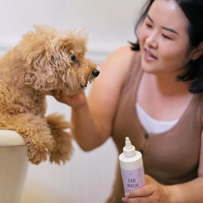 Botanical Ear Wash 7.7 oz Squeeze Bottle with Squirt Nozzle | Gentle | Non-Medicated | Gentle on The Ears | Made in The USA