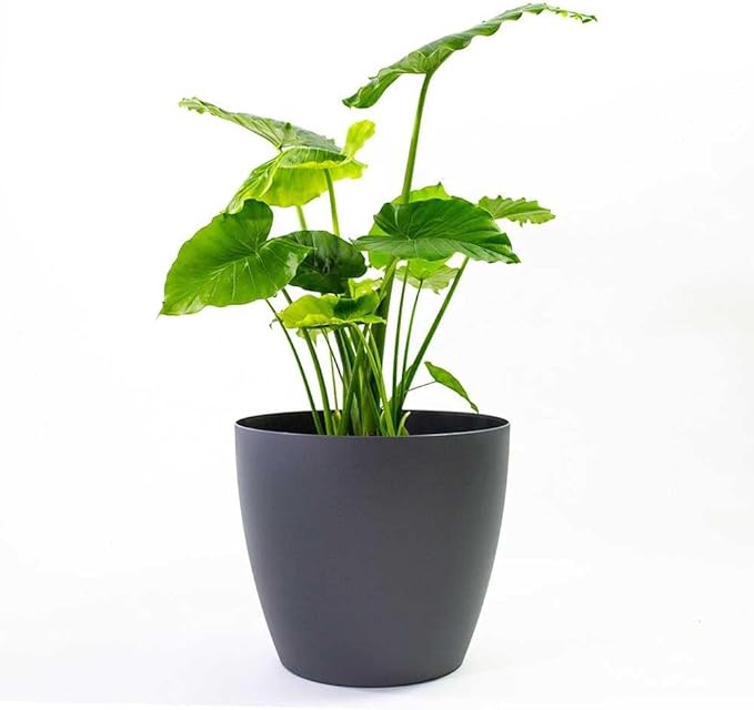 Memphis 18" Round Indoor Floor Planter Pot – Lightweight & Durable Plastic, Modern Design, Made in USA, Recyclable Large Plant Container for Home & Office Décor (Charcoal Meta