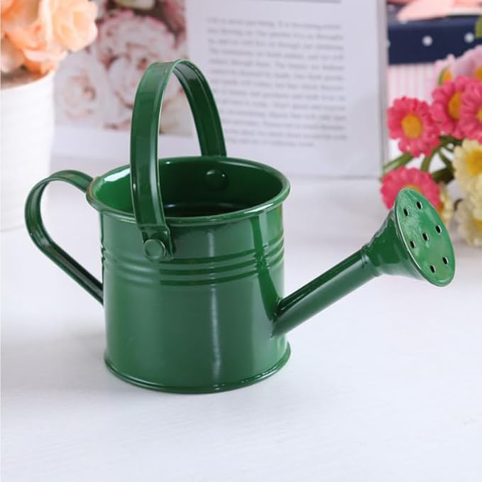 balacoo Metal Watering can Small 2-Pack Portable Garden Watering Pot with Long Spout for Indoor Outdoor Plants Flower Care