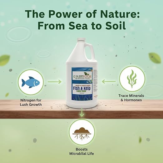 GS Plant Foods Liquid Fish & Kelp Fertilizer (1 Gallon) – Organic Material Review Institute Listed Natural Plant Food for Home Gardens, Lawns, and Vegetables