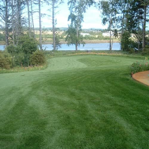 Outsidepride Combat Extreme Transition Zone Grass Seed Blend for Lawn 10 lbs - Fine, Medium Leaf Blades & Dense Turf for Sun, Shady & High Traffic Areas w/OptiGrowth Coating for Seed Enhancement