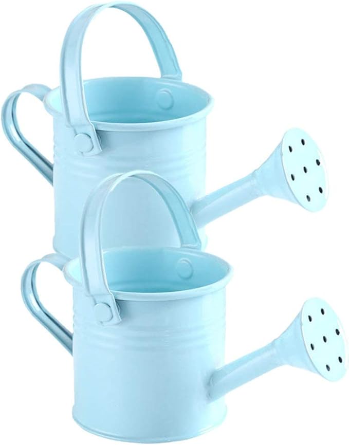 2Pcs Kids Watering Pot Metal Waterbottle Creative Watering Tin Small Watering Can Iron Sprinkling Kettle Portable Watering Can (Light Blue 2PCS)