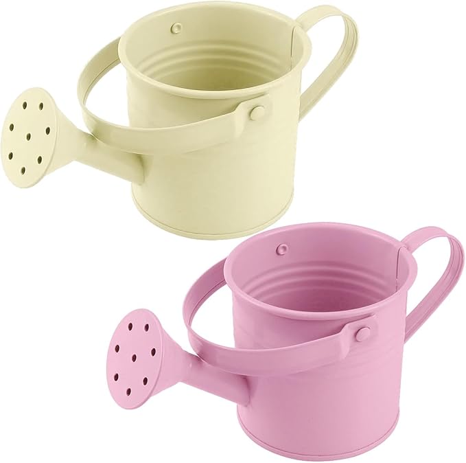 2Pcs Mini Watering Can Sprinkler Bucket for Kids Metal Gardening Water Pot for Outdoor and Indoor House Plants, /Beige/Cute Watering Can