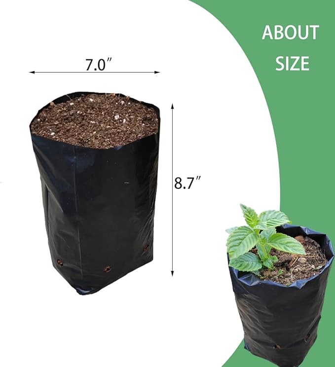 Belit Nursery Growing Bags, 100 Pcs Black Plastic Seedling Pots for Gardening Seed Plant Bags, Fruit Tree Seedling, Starting saplings(7"x8.7")