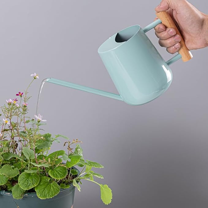 Watering Can Indoor Plants, 30oz/900ml Small Plant Watering Can with Long Spout, Stainless Steel Garden Watering Cans Outdoor Watering Pot for Indoor House Plants Bonsai Flower Decorative