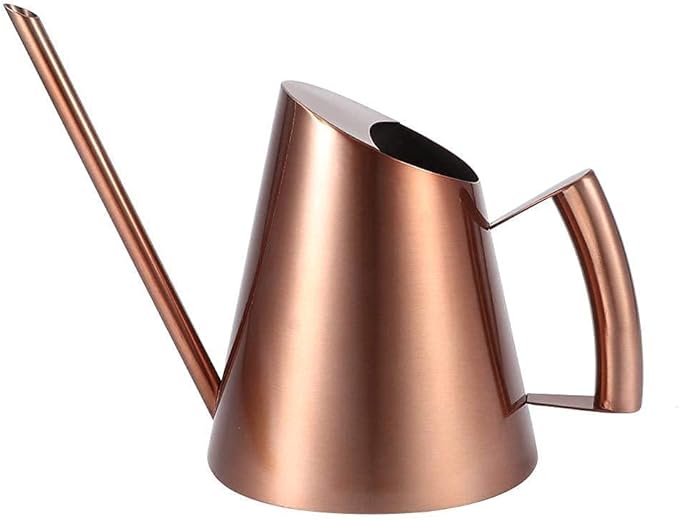 AUNMAS Bonsai Watering Can with Long Straight Spout, Stainless Steel Watering Can Pot for Indoor Houseplant Bonsai Flower, Gardening Kettle 900ml (M)