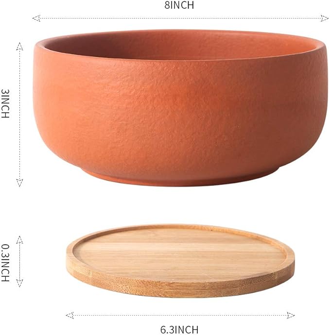 SQOWL Terracotta Planter Pot for Succulent 8 Inch Pottery Round Planter Cactus Clay Flower Pot with Drain Hole and Bamboo Tray Indoor Outdoor