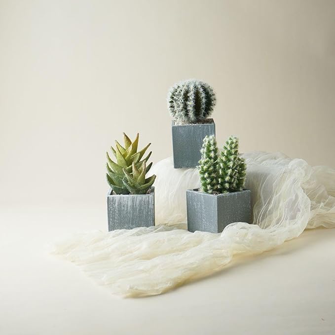 Cactus Artificial Plants,Faux Cactus Potted Plants, Indoor Decor for Home,Office,Kitchen,Living Room,Desk,Shelf(Grey Pots)