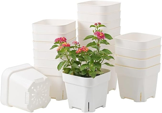 BangQiao 20 Pack 5.50 Inch White Plastic Nursery and Seedling Pots, Square Seed Starter Plant Pot Container for Cactus, Succulent, Cutting, Transplanting