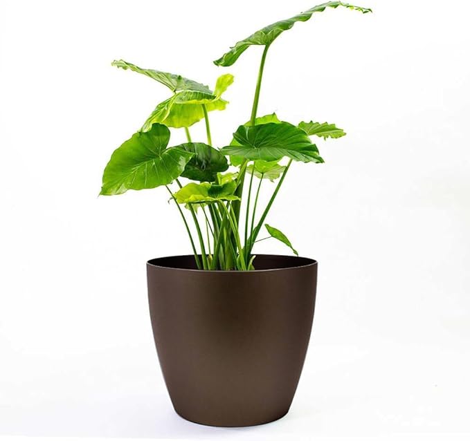 Memphis 13" Round Indoor Floor Planter Pot – Lightweight & Durable Plastic, Modern Design, Made in USA, Recyclable Large Plant Container for Home & Office Décor (Espresso Meta
