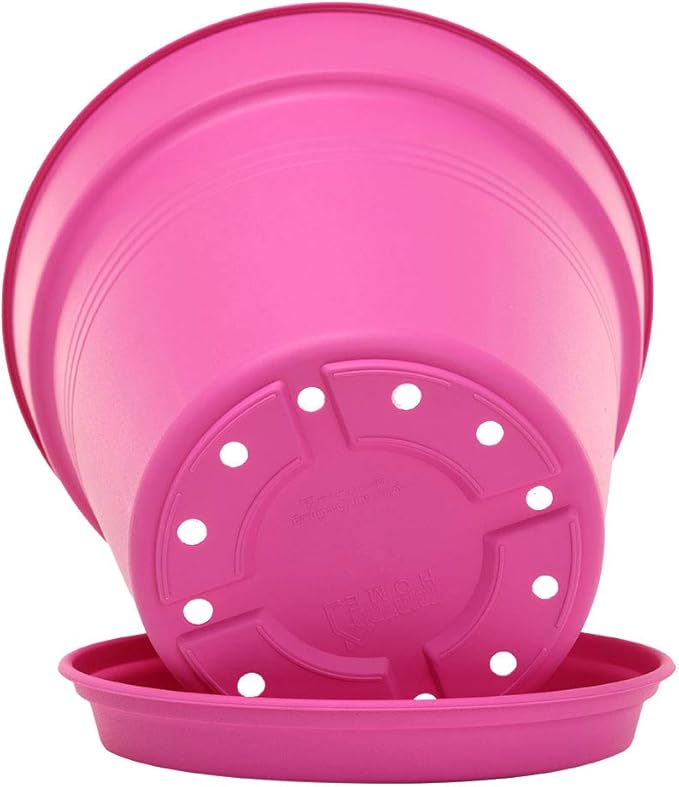 Mintra Home Garden Pots 4pk - Flowers, Herbs, Plants, Indoor, Outdoor, Colorful, Wholesale, Bulk (Fuchsia, 11cm Diameter (4.3in))