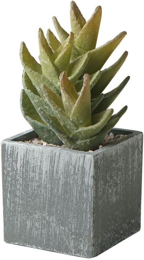 Cactus Artificial Plants,Faux Cactus Potted Plants, Indoor Decor for Home,Office,Kitchen,Living Room,Desk,Shelf(Grey Pots)
