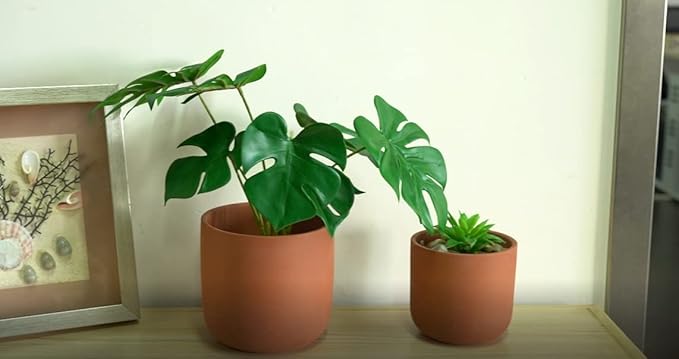 4.6 + 6 Inch Terracotta Succulent Planter Pots Round Clay Pots with Drainage for Indoor Plants Set of 2