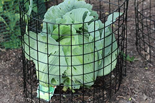 Erva Bunny Barricade Plant Protector Cage (3pk) - Plant Cages for Garden - Plant Protectors from Animals and Crop Cages for Garden - Made in The USA