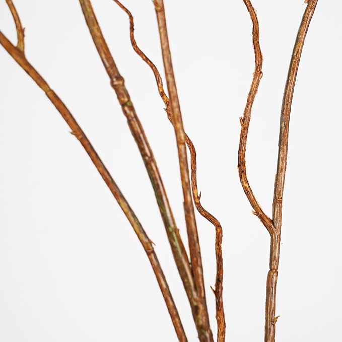 Artificial Plants Faux Greenery Eucalyptus Stems,Faux Branches for Vase Filler,Artificial Ficus Twig Branches Stems for Shop Garden Office Home Décor (6, Stems02)