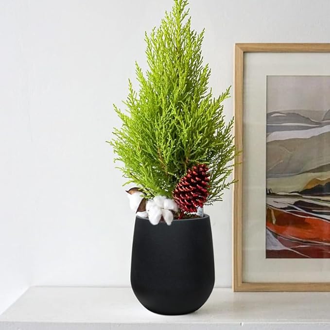 11.8" H Resin Tall Planters for Outdoor Plants, Modern Black Round Tapered Plastic Flower Pot for Outdoor and Indoor Plants, Large Plant Pot with Drainage Holes and Rubber Plug for Home Garden Patio