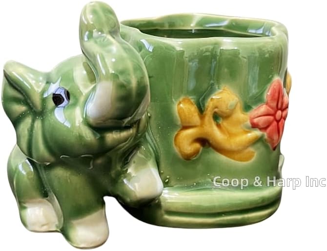 Generic Coop & Harp Small Lucky Bamboo Live Indoor Plant with Ceramic Vase, Live Indoor Lucky Bamboo for Home, Office and Gift (Elephant), Green
