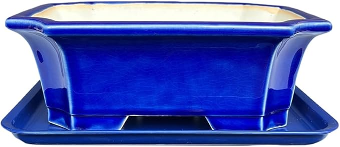 MUZHI Blue Bonsai Plant Pot 9.9” with Drip Saucer, Classic Glazed Ceramic Planter Container for Tree, Cactus, Succulent