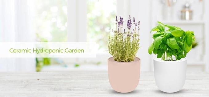 Hydroponic Herb Growing Pink Ceramic Kit, Self-Watering Kitchen Garden Starter Kit with Organic Seeds (Lavender)