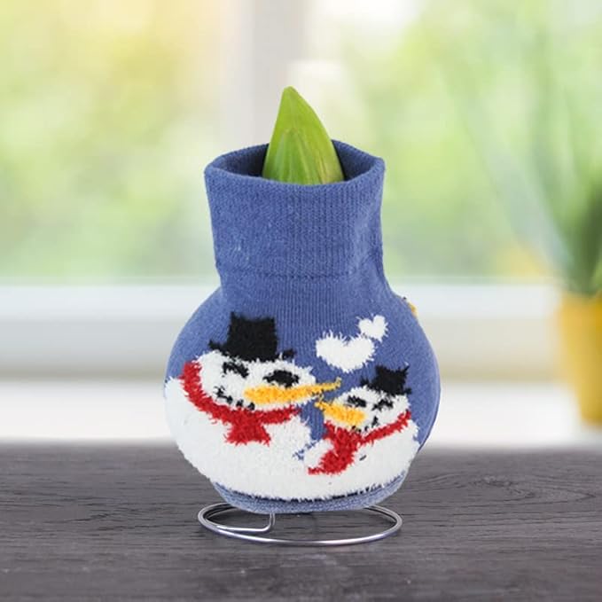 Frosty and Friends Sweater Amaryllis Flower Bulb with Stand, No Water Needed, Gift Ready