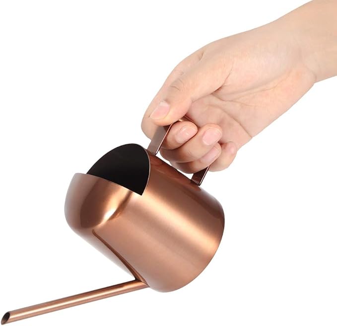 Milltrip Small Watering Can, 300ml Small Stainless Steel Watering Can Plant Flower Long Spout Sprinkling Pot for Home Use