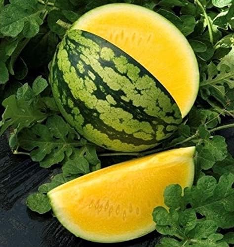 Seeds Yellow Watermelon 11 lbs - Fruits for Planting - GMO Free