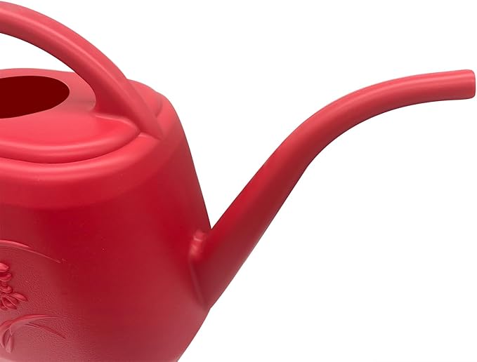 Watering Can for Indoor and Outdoor Plant - 1/2 Gallon - Wine Red