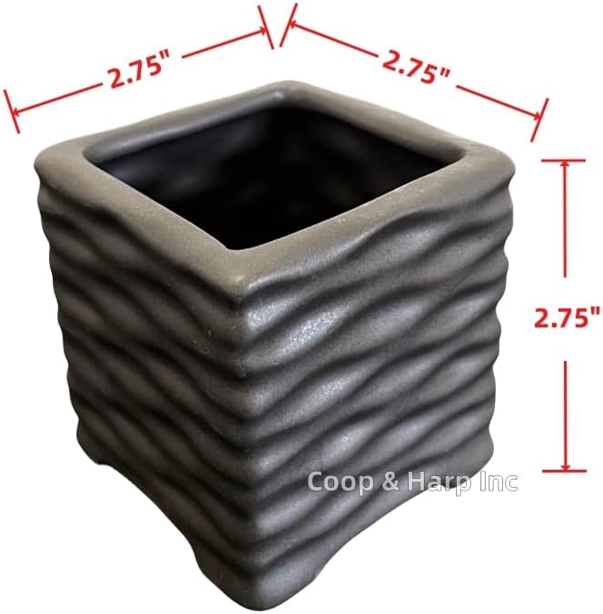 Coop & Harp 3-Pack 3-Stalk 4" Lucky Bamboo Live Indoor Plant with 3 Ceramic Cube Textured Vases, Live Indoor Lucky Bamboo for Home, Office and Gift (Cube Mix)