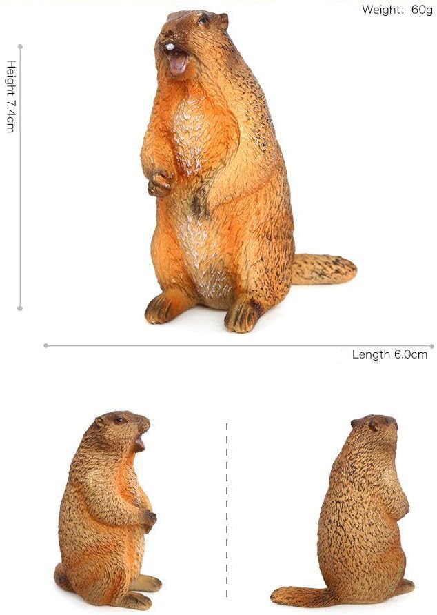 4PCS Groundhog Figurine Groundhog Sculpture Groundhog Model Animal Model Home Decoration Outdoor Garden Statue