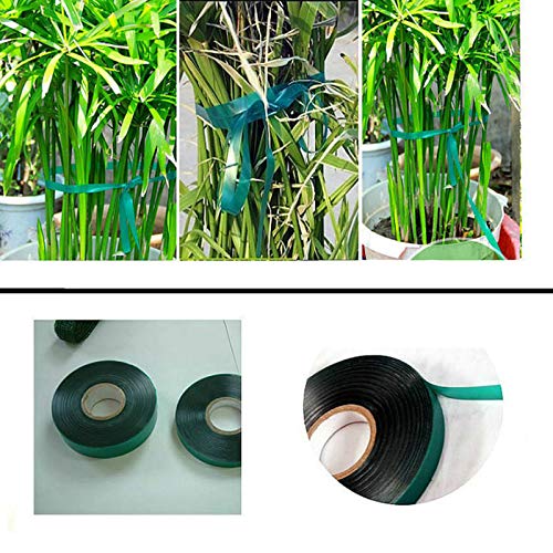 3 Rolls 150 Feet Stretch Tie Tape 0.5 Inch Garden Tie Tape Thick Plant Ribbon Garden Green Vinyl Stake for Indoor Outdoor Patio Plant Use