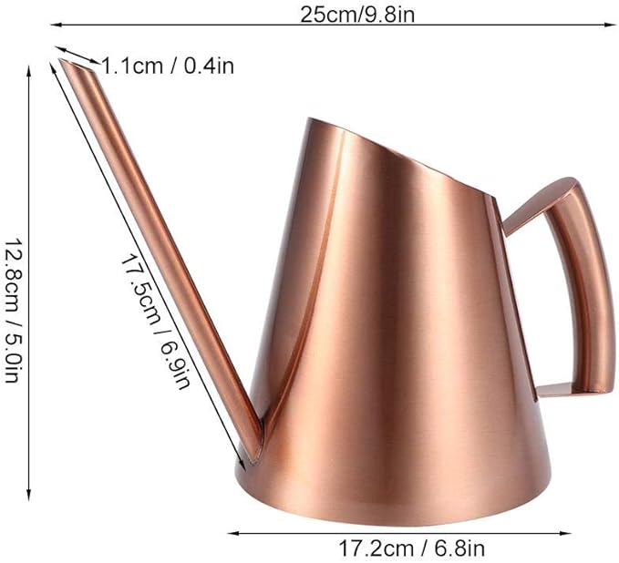 AUNMAS Bonsai Watering Can with Long Straight Spout, Stainless Steel Watering Can Pot for Indoor Houseplant Bonsai Flower, Gardening Kettle 900ml (M)