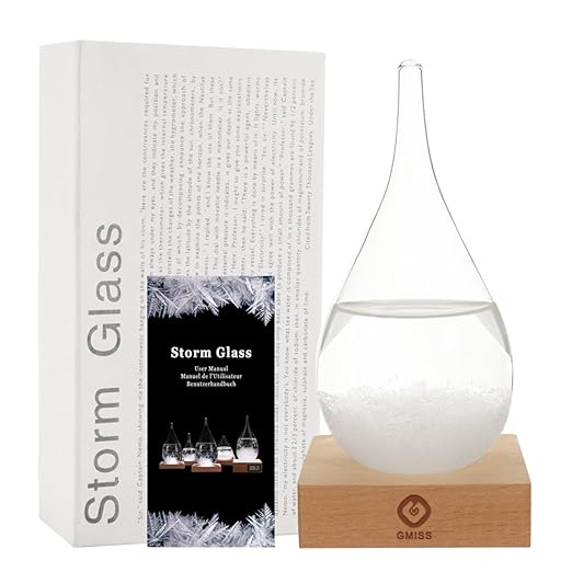 Storm Glass Weather Predictor,Christmas Snow Globe Storm Glass Barometer Weather Predictor, Home and Office Decorative Glass Bottles, Christmas Unique Gifts for Her