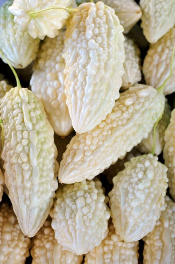 Melon Seeds for Planting (10 Seeds) - Grow Your Own Food (White Bitter Melon)