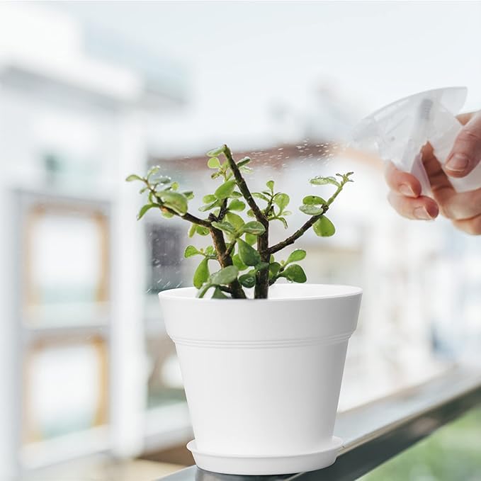 4 Inch Plastic Plant Pots 6 Pack, Small Flower Pots with Drainage Holes and Tray, Thickened Indoor Planters Seedlings Nursery Pots, African Violet, Succulent and All House Plants, White