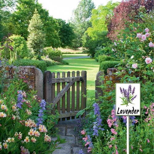 FemiaD Plant Label Signs Planted Herb Garden Markers Waterproof Aluminum Plant Stake Tags Lavender Sign for Nursery Indoor Outdoor Garden Decoration