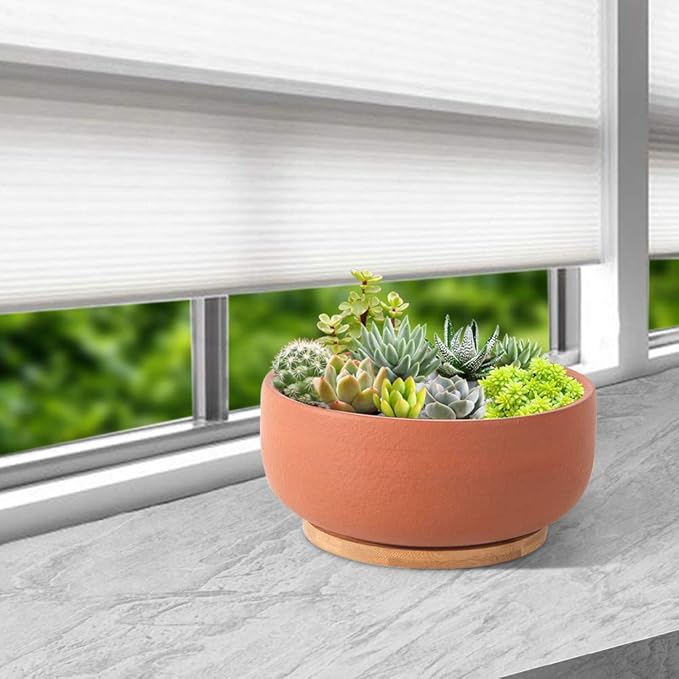 SQOWL Terracotta Planter Pot for Succulent 8 Inch Pottery Round Planter Cactus Clay Flower Pot with Drain Hole and Bamboo Tray Indoor Outdoor