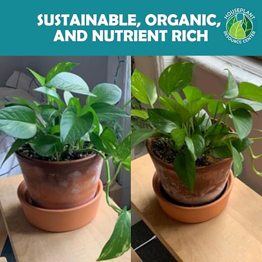 Houseplant Soil Conditioner & Probiotic – Organic Growth Booster (1-1-4) for Rejuvenating Tired Plants | Improves Soil Structure & Nutrient Availability for Stronger Roots & Fuller Leaves | 4 oz