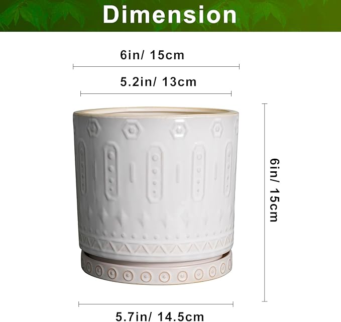 Pot for Plants 6 Inch - Ceramic Planter for Indoor Plants Decorative Plant Pot with Drainage Holes and Saucer Outdoor Flower Pot Modern Succulent Pots for Office Desk Decor White